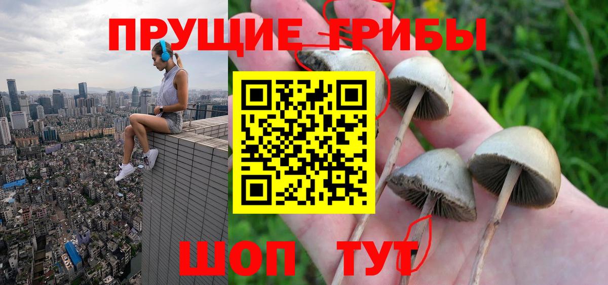 Псилоцибиновые грибы Psilocybine cubensis  Вход с VPN  Тольятти 