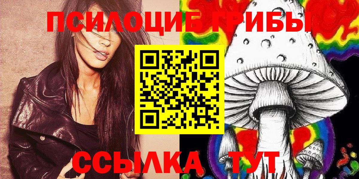 Галлюциногенные грибы Psilocybine cubensis Тольятти
